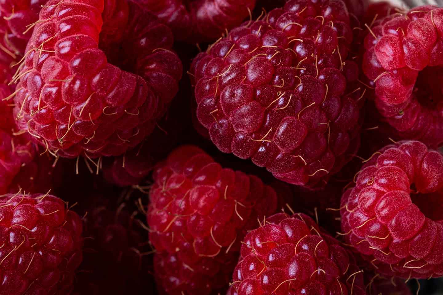 Framboises Framboises